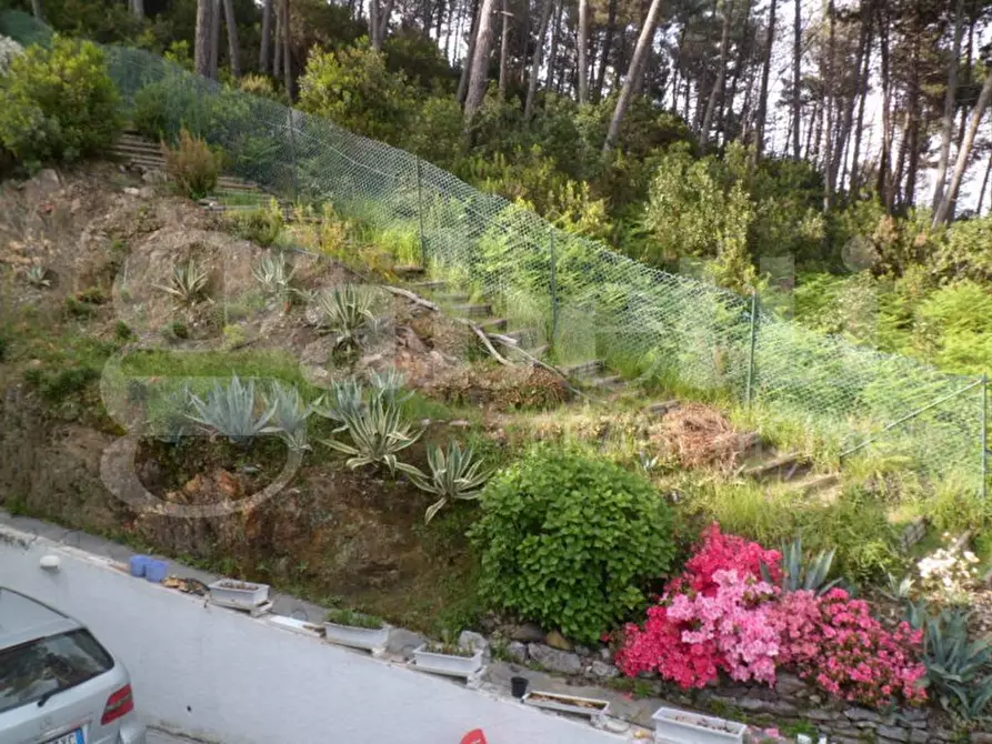 Immagine 6 di Villa in vendita  in Via DELLA PACE, 8 a Ameglia