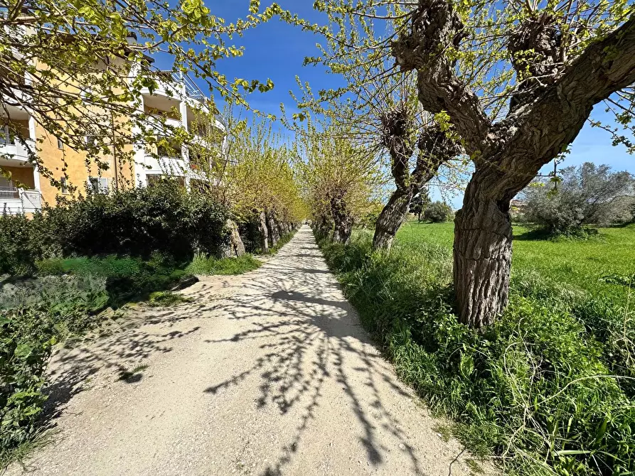 Immagine 23 di Appartamento in vendita  in Via Monti Sibillini, 34 a Tortoreto
