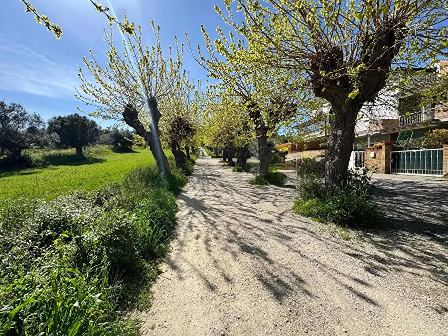 Immagine 24 di Appartamento in vendita  in Via Monti Sibillini, 34 a Tortoreto