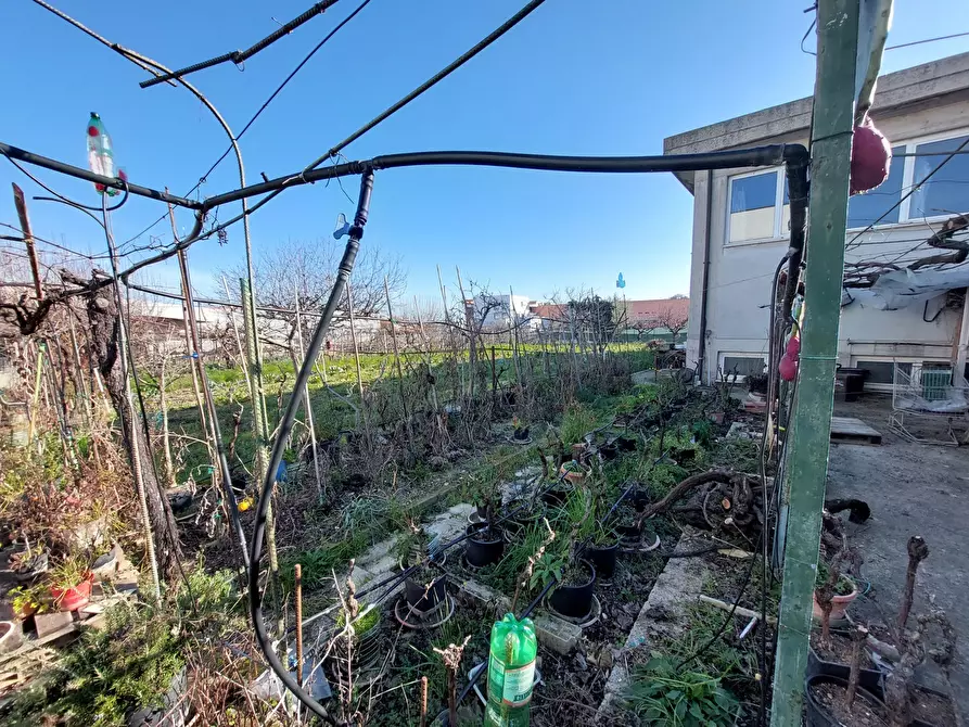 Immagine 5 di Capannone industriale in vendita  in Via Magellano, 4 a Sant'omero