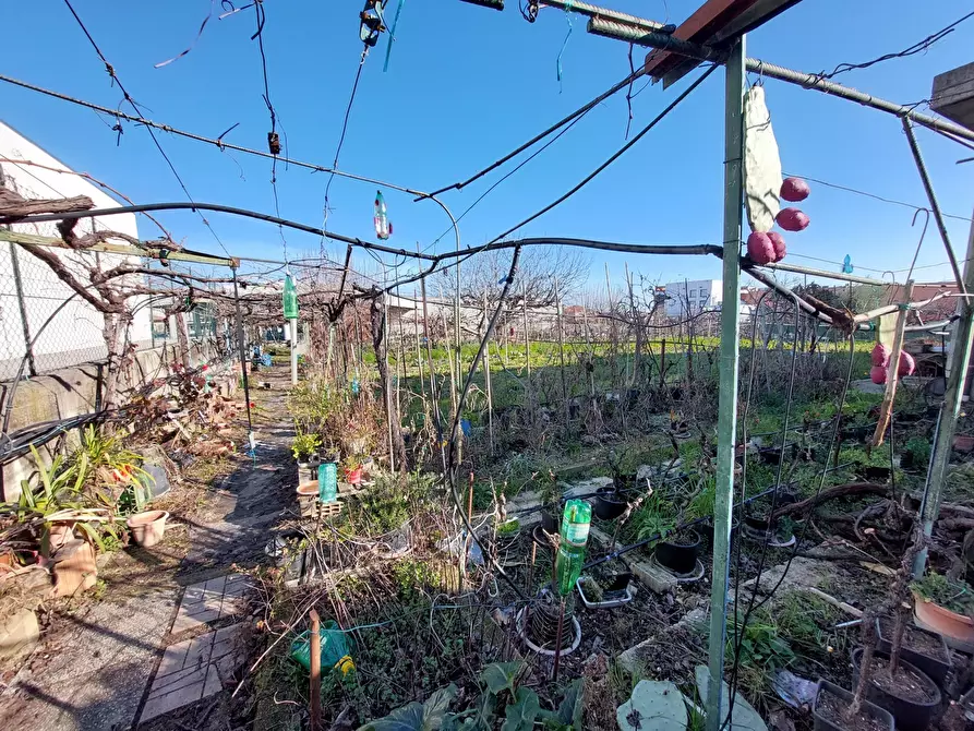 Immagine 3 di Capannone industriale in vendita  in Via Magellano, 4 a Sant'omero