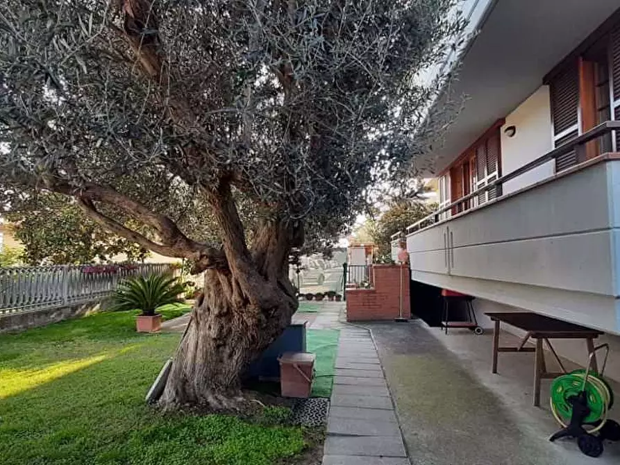 Immagine 2 di Casa bifamiliare in vendita  in Via della Repubblica, 26 a Tortoreto