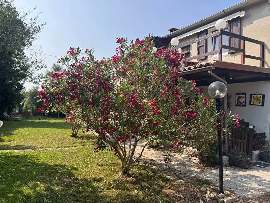 Immagine 11 di Rustico / casale in vendita  in Via castagna, 14 a Osimo