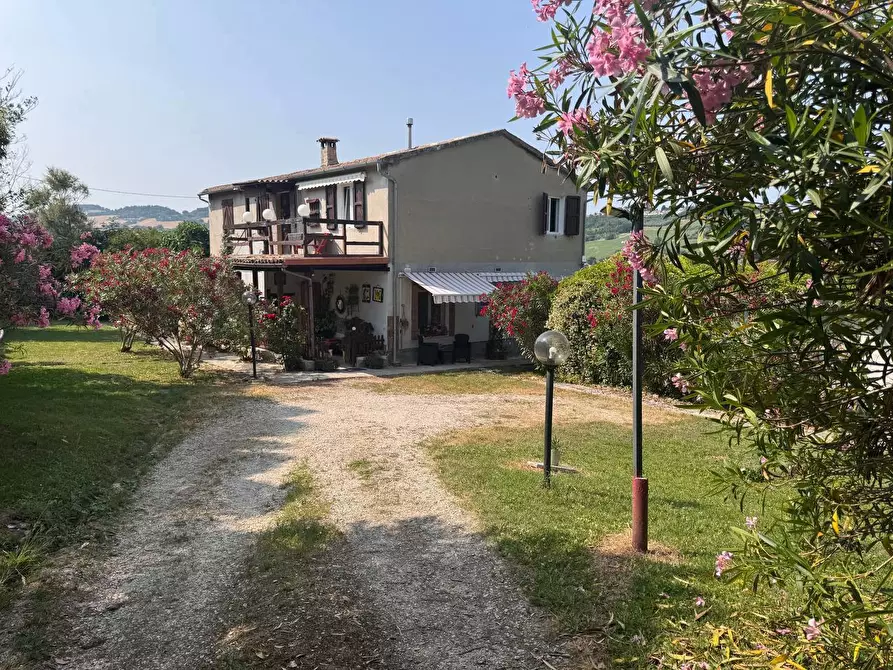 Immagine 18 di Rustico / casale in vendita  in Via castagna, 14 a Osimo