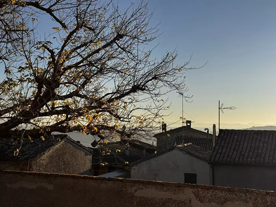 Immagine 18 di Rustico / casale in vendita  in Via del mattatoio, 0 a Camerano