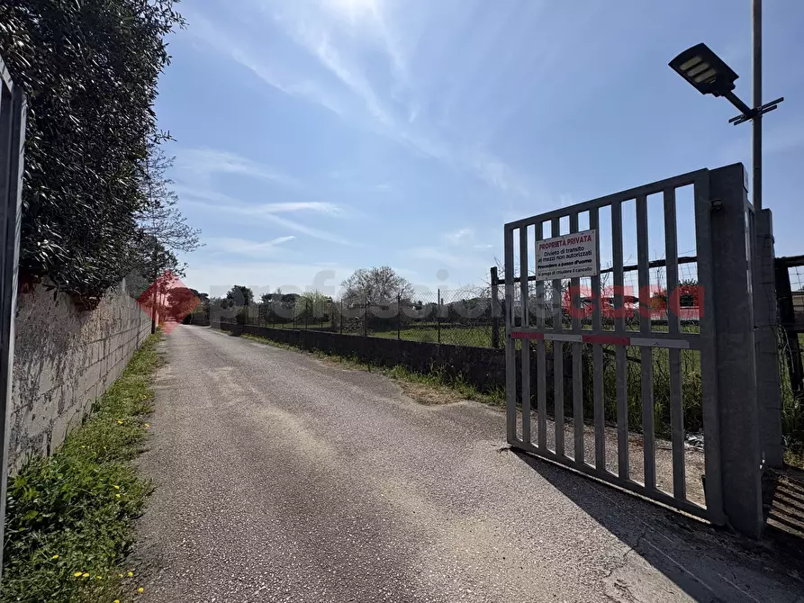 Immagine 2 di Terreno agricolo in vendita  in Via SAN FELICE CIRCEO TRAVERSA 23, 23 a Terracina