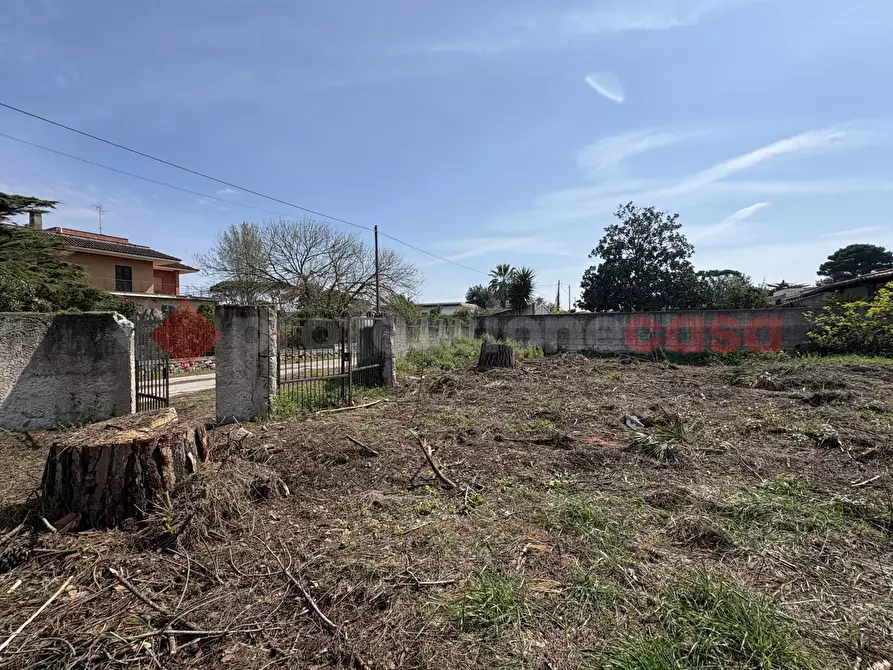 Immagine 3 di Terreno agricolo in vendita  in Via SAN FELICE CIRCEO TRAVERSA 23, 23 a Terracina