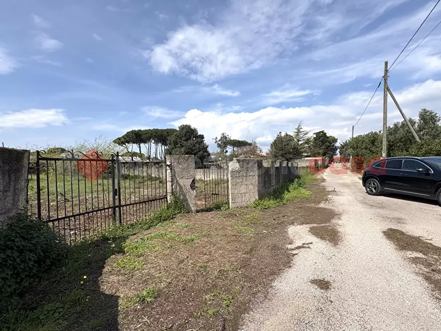 Immagine 24 di Terreno agricolo in vendita  in Via SAN FELICE CIRCEO TRAVERSA 23, 23 a Terracina