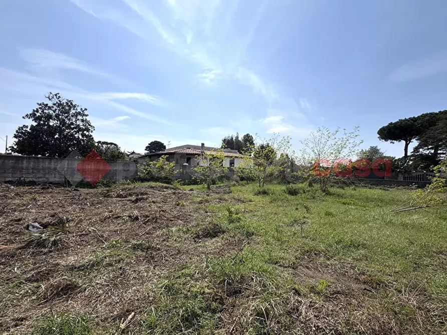 Immagine 5 di Terreno agricolo in vendita  in Via SAN FELICE CIRCEO TRAVERSA 23, 23 a Terracina