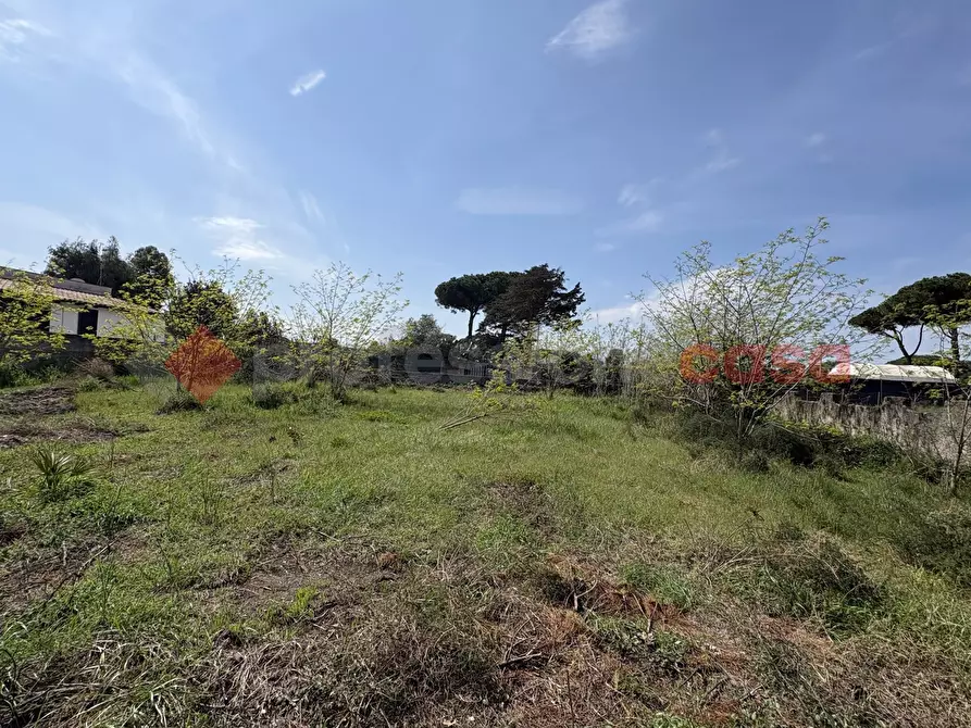Immagine 6 di Terreno agricolo in vendita  in Via SAN FELICE CIRCEO TRAVERSA 23, 23 a Terracina