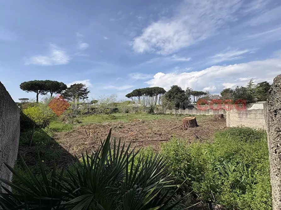 Immagine 26 di Terreno agricolo in vendita  in Via SAN FELICE CIRCEO TRAVERSA 23, 23 a Terracina