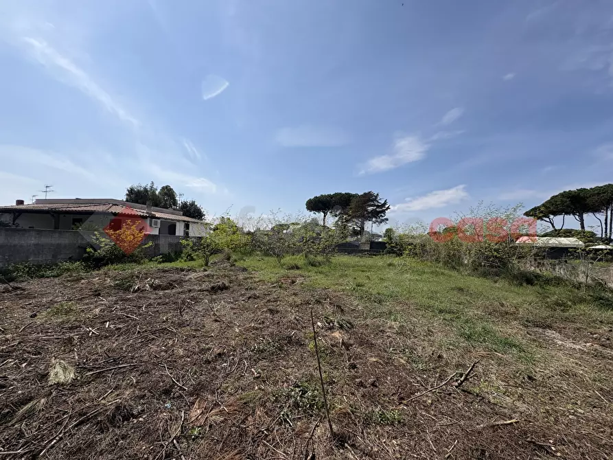 Immagine 30 di Terreno agricolo in vendita  in Via SAN FELICE CIRCEO TRAVERSA 23, 23 a Terracina