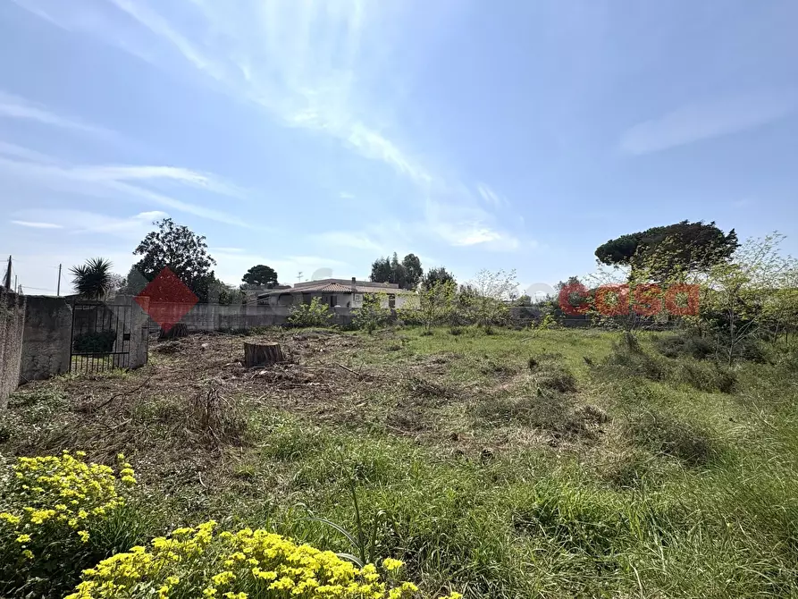 Immagine 23 di Terreno agricolo in vendita  in Via SAN FELICE CIRCEO TRAVERSA 23, 23 a Terracina