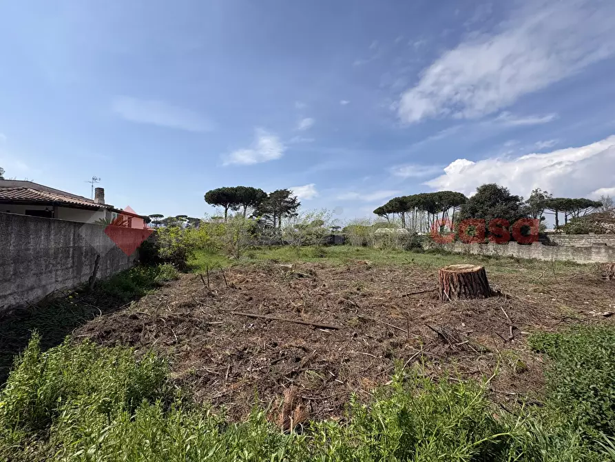 Immagine 27 di Terreno agricolo in vendita  in Via SAN FELICE CIRCEO TRAVERSA 23, 23 a Terracina