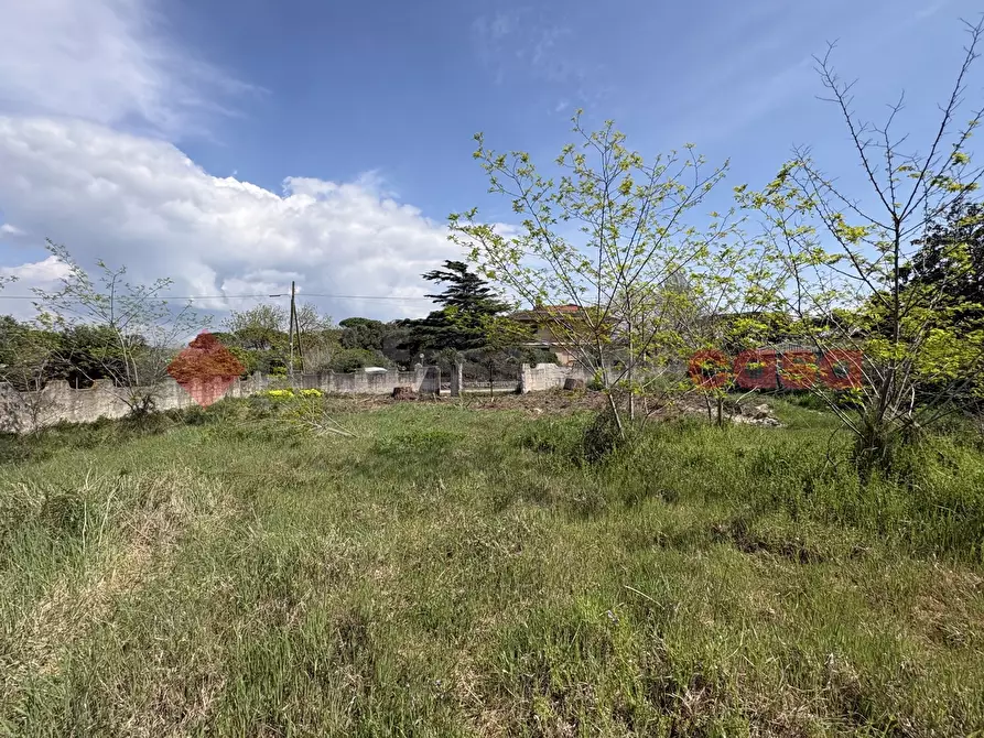 Immagine 11 di Terreno agricolo in vendita  in Via SAN FELICE CIRCEO TRAVERSA 23, 23 a Terracina