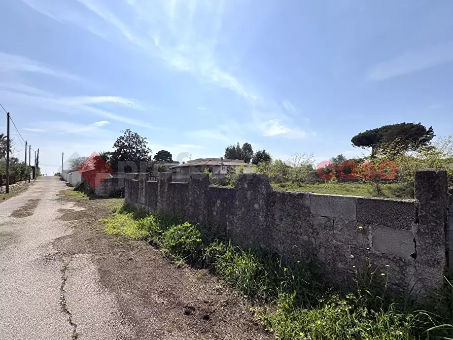 Immagine 16 di Terreno agricolo in vendita  in Via SAN FELICE CIRCEO TRAVERSA 23, 23 a Terracina
