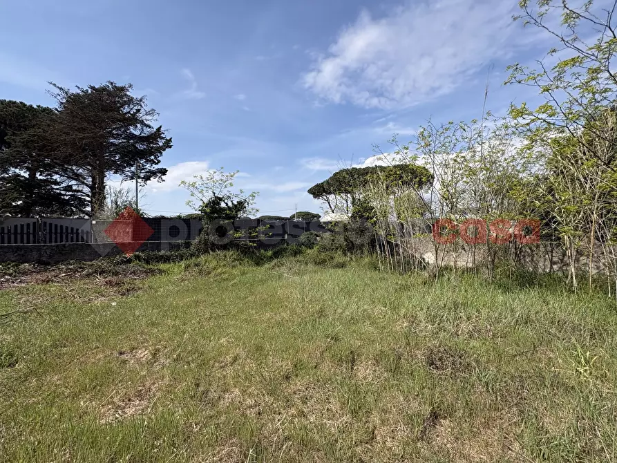 Immagine 8 di Terreno agricolo in vendita  in Via SAN FELICE CIRCEO TRAVERSA 23, 23 a Terracina