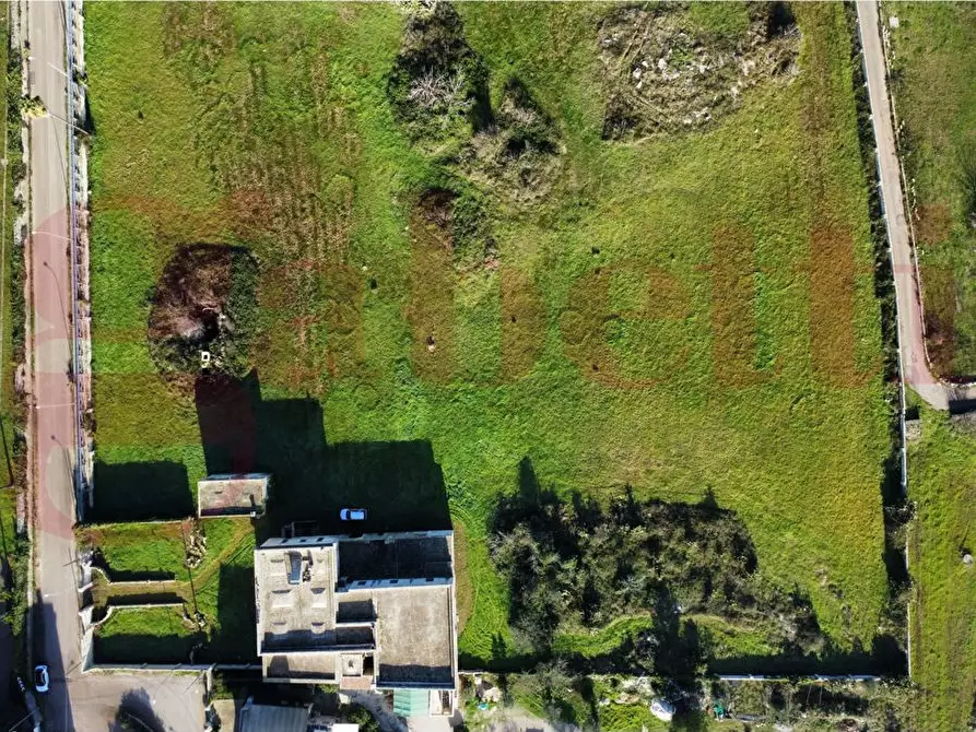 Immagine 4 di Villa in vendita  in Via stazione, snc a Zollino