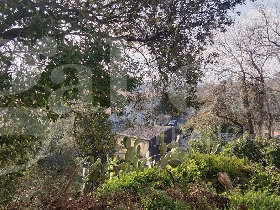 Immagine 14 di Terreno residenziale in vendita  in Via Regalotto, 12 a Pedara