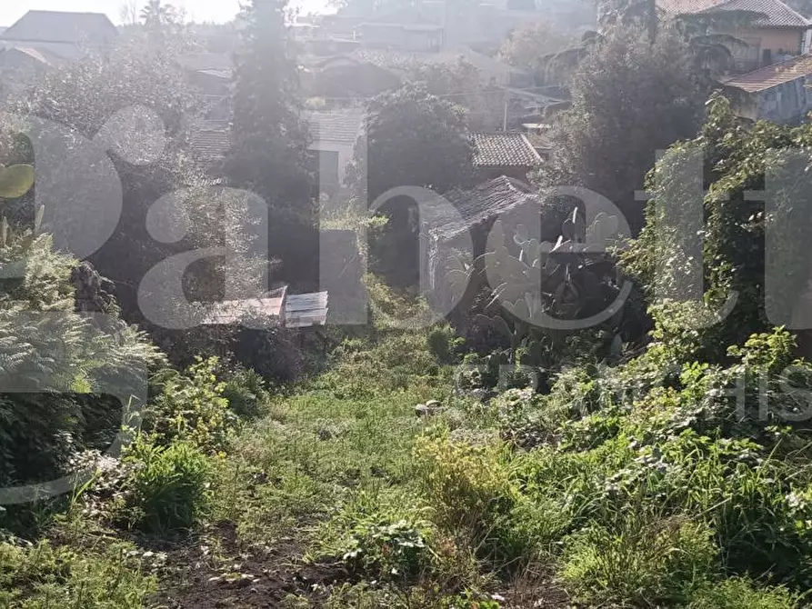 Immagine 21 di Terreno residenziale in vendita  in Via Regalotto, 12 a Pedara