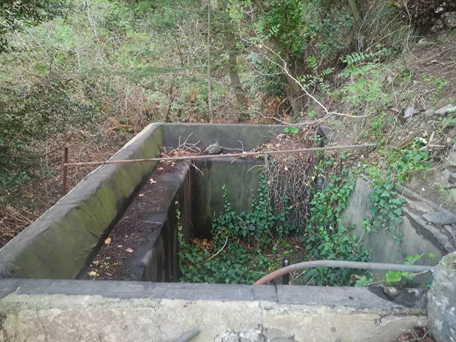 Immagine 16 di Terreno agricolo in vendita  in Via Comunale Catarratti, 106 a Messina