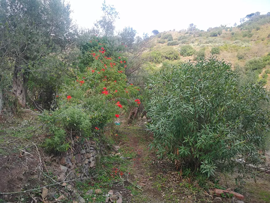 Immagine 7 di Terreno agricolo in vendita  in Via Comunale Catarratti, 106 a Messina