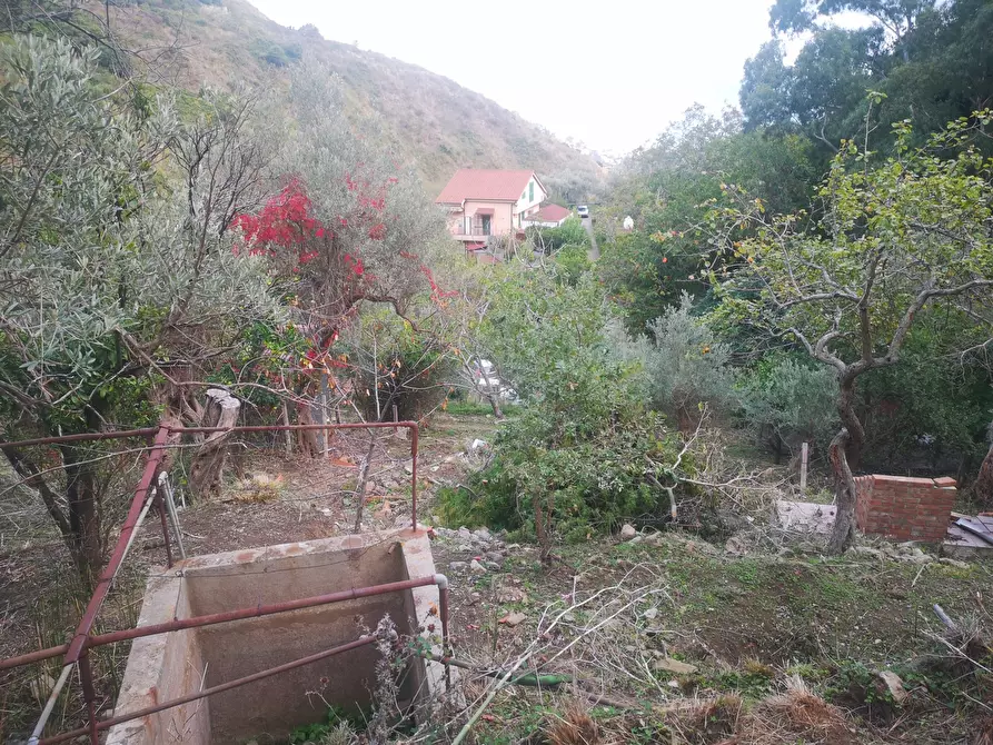 Immagine 19 di Terreno agricolo in vendita  in Via Comunale Catarratti, 106 a Messina