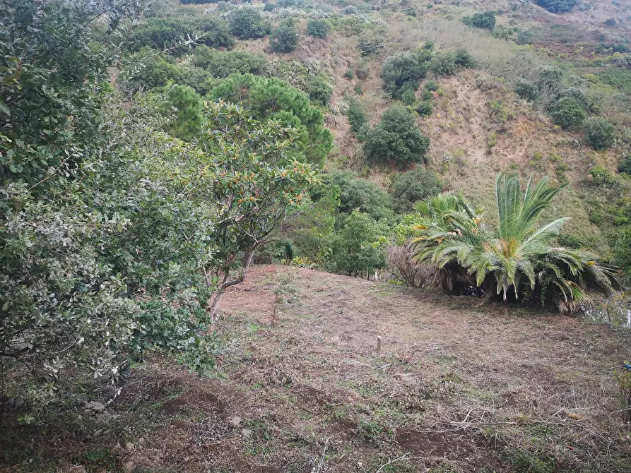 Immagine 14 di Terreno agricolo in vendita  in Via Comunale Catarratti, 106 a Messina