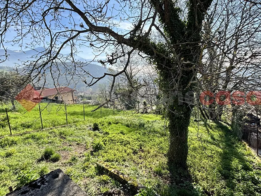 Immagine 26 di Appartamento in vendita  in Via Paterno, 28 a Trivigliano