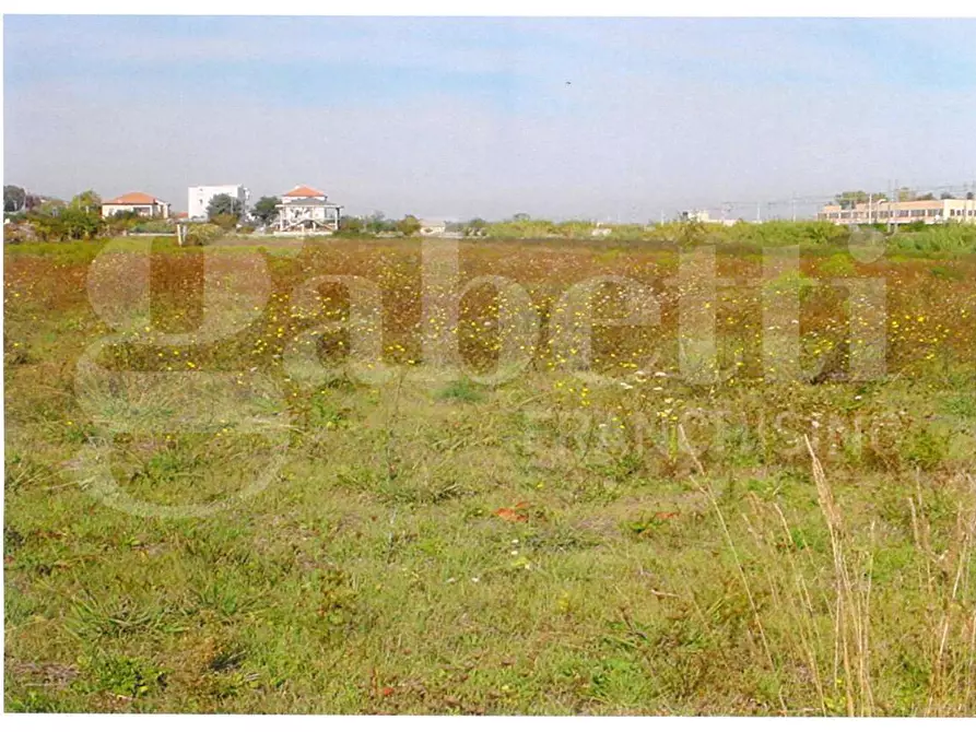 Immagine 3 di Terreno residenziale in vendita  in Strada Statale 16, 0 a Martinsicuro