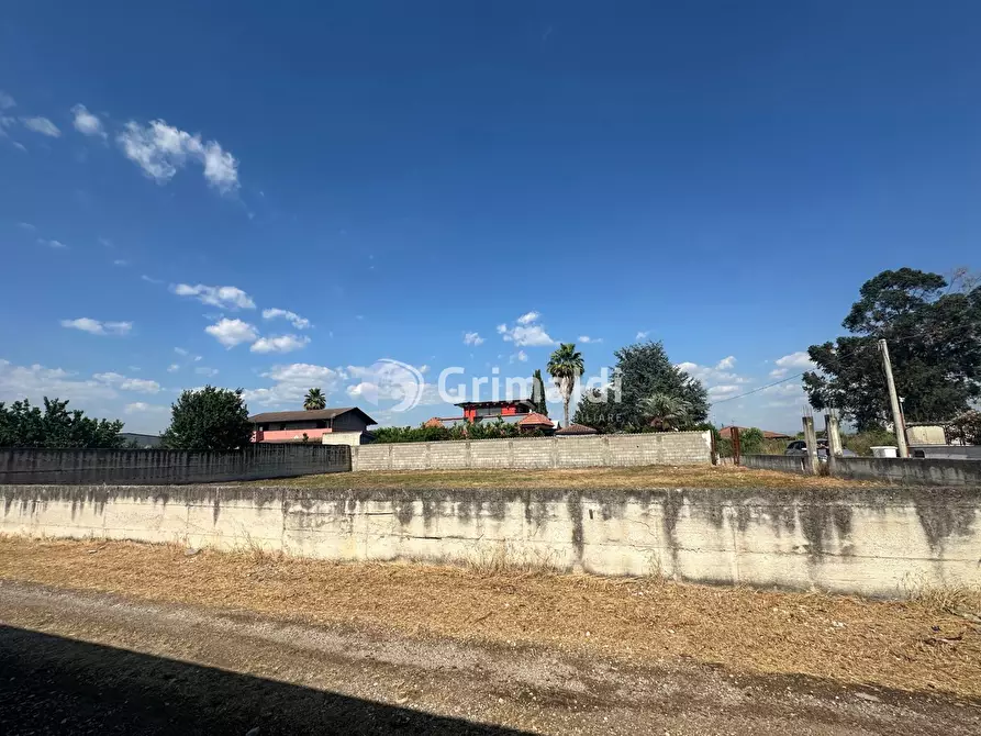 Immagine 10 di Terreno agricolo in vendita  in Via San Cuono, 43 a Acerra