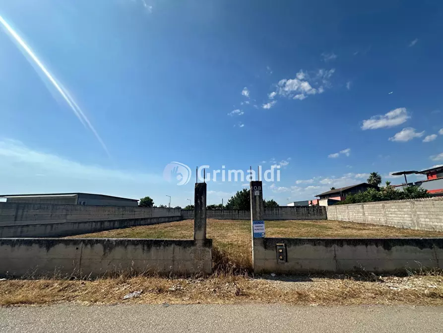 Immagine 7 di Terreno agricolo in vendita  in Via San Cuono, 43 a Acerra
