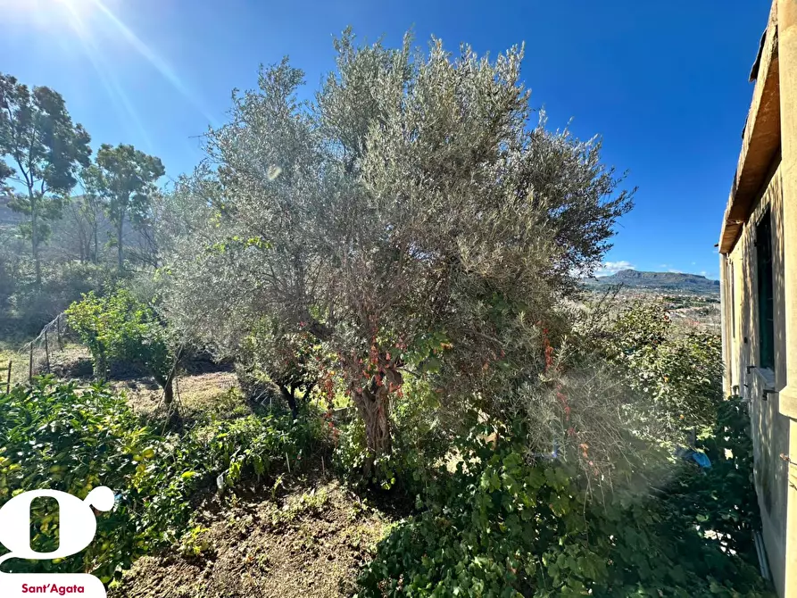 Immagine 24 di Casa indipendente in vendita  in Contrada APESANA, SNC a Sant'agata Di Militello