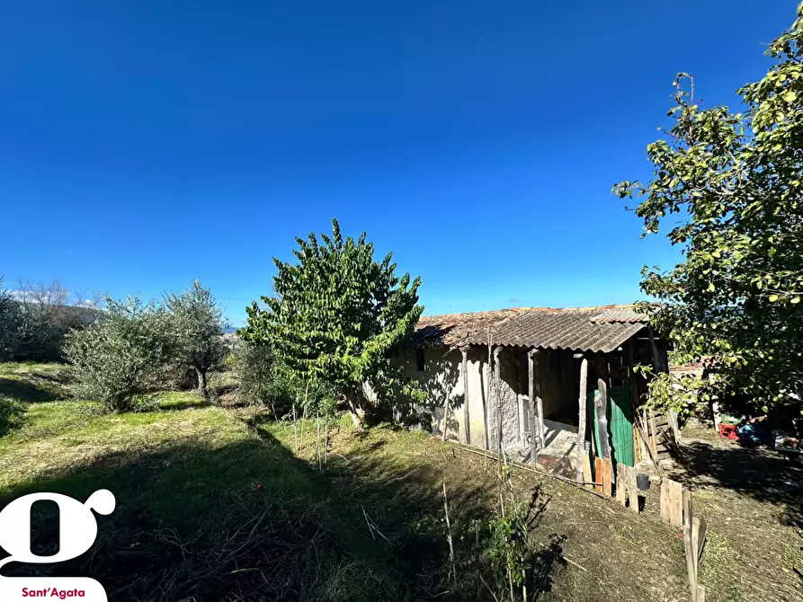 Immagine 16 di Casa indipendente in vendita  in Contrada APESANA, SNC a Sant'agata Di Militello