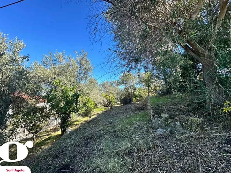 Immagine 20 di Casa indipendente in vendita  in Contrada APESANA, SNC a Sant'agata Di Militello