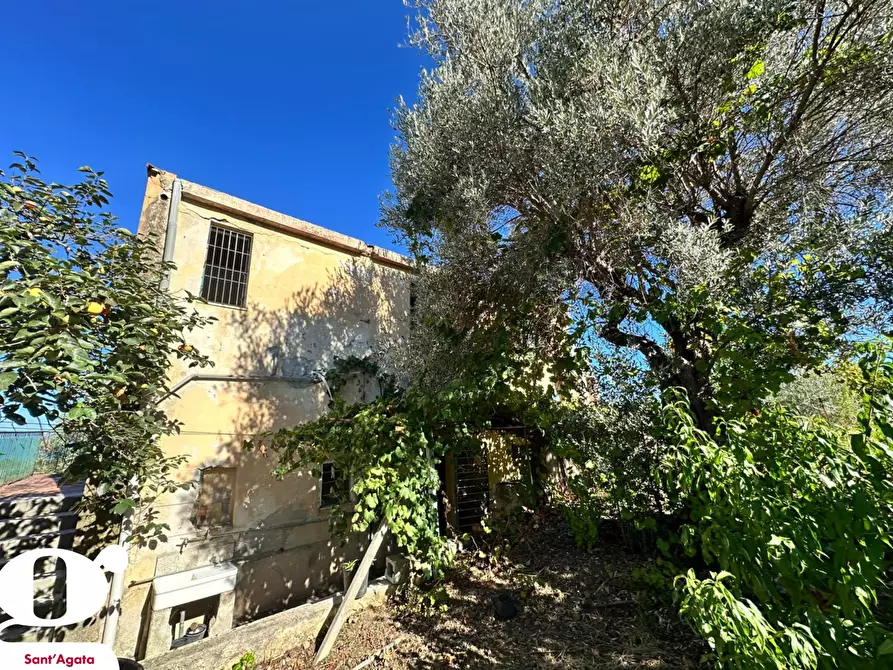 Immagine 15 di Casa indipendente in vendita  in Contrada APESANA, SNC a Sant'agata Di Militello