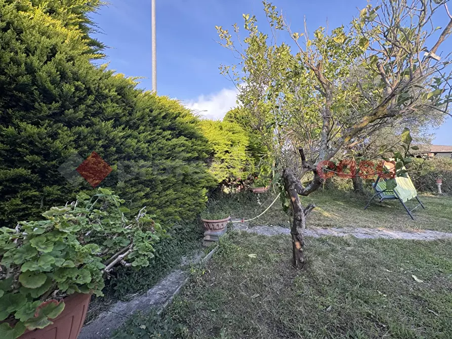 Immagine 34 di Baita in vendita  in Viale EUROPA, 267 a Terracina