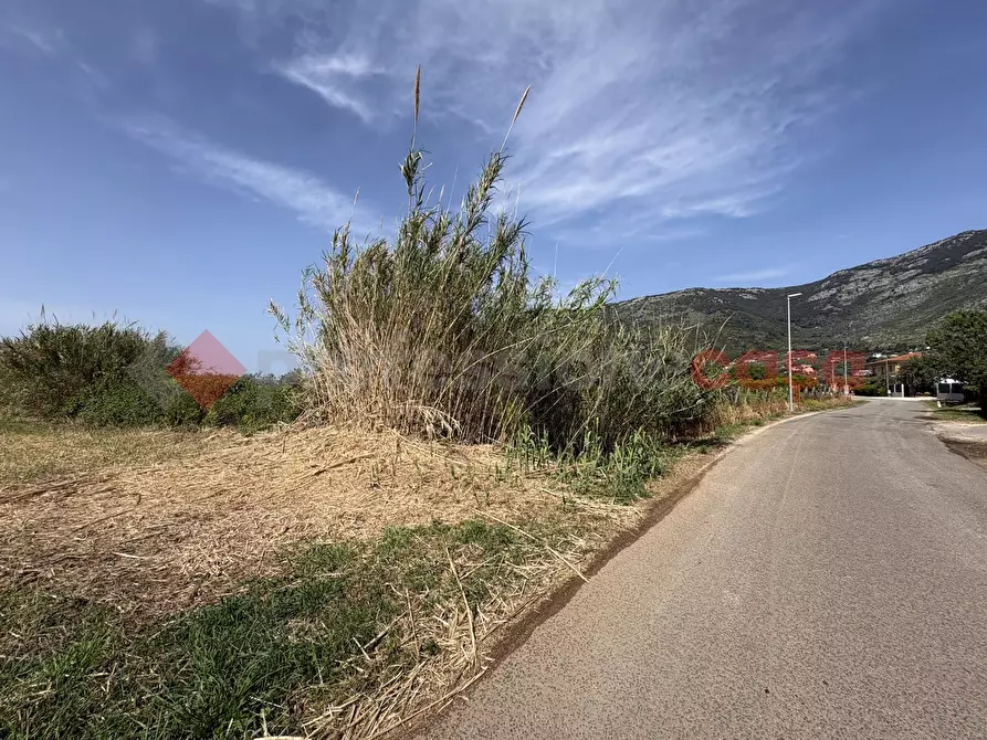 Immagine 2 di Terreno agricolo in vendita  in Via PONTE DI FERRO, 74 a Terracina
