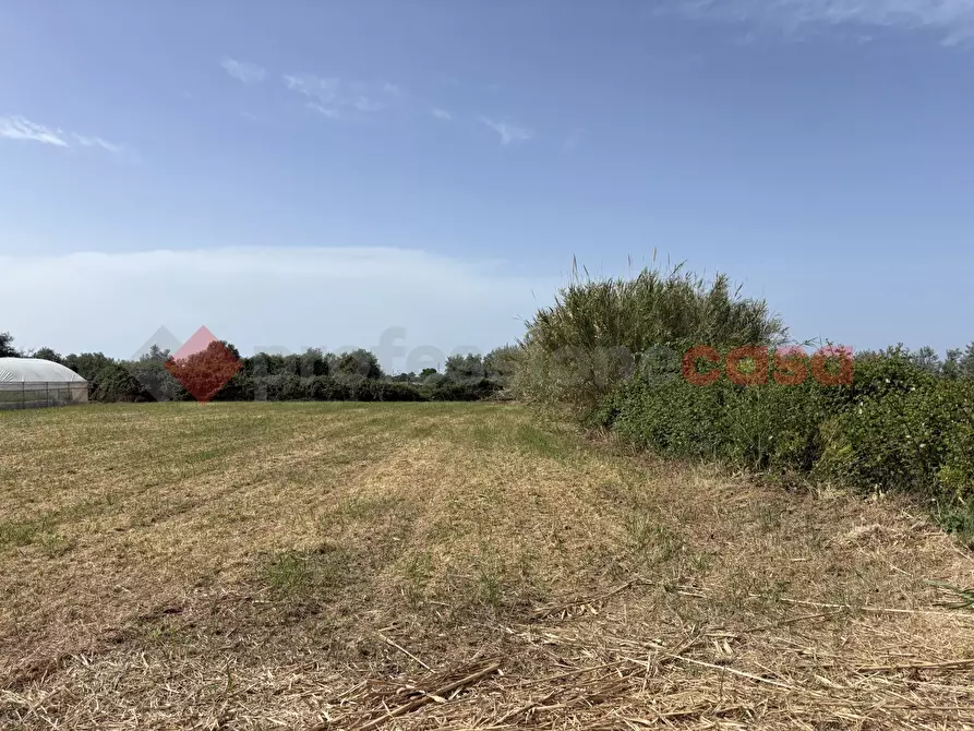 Immagine 7 di Terreno agricolo in vendita  in Via PONTE DI FERRO, 74 a Terracina