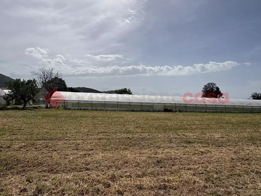 Immagine 11 di Terreno agricolo in vendita  in Via PONTE DI FERRO, 74 a Terracina