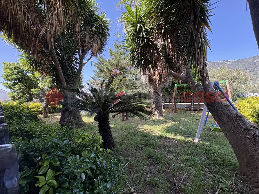 Immagine 25 di Negozio in vendita  in Via SAN SILVIANO, 8 a Terracina