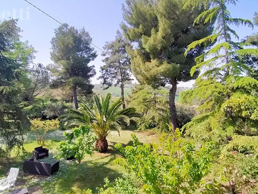 Immagine 6 di Casa indipendente in vendita  in Strada DELLA QUERCIABELLA, 180 a Senigallia