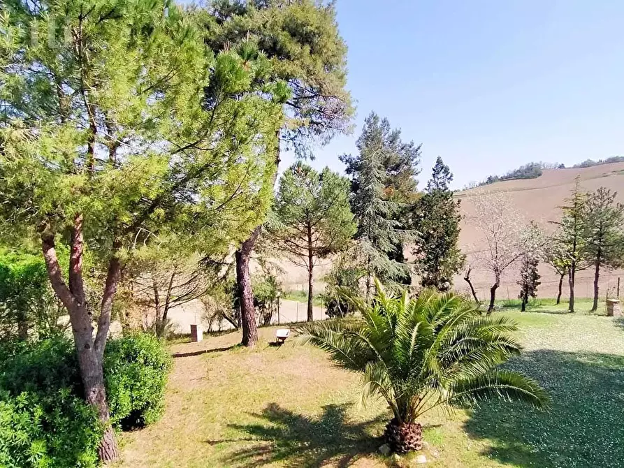 Immagine 9 di Casa indipendente in vendita  in Strada DELLA QUERCIABELLA, 180 a Senigallia