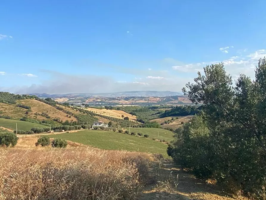 Immagine 5 di Terreno agricolo in vendita  in LocalitÃ  Centovie, 0 a Roseto Degli Abruzzi