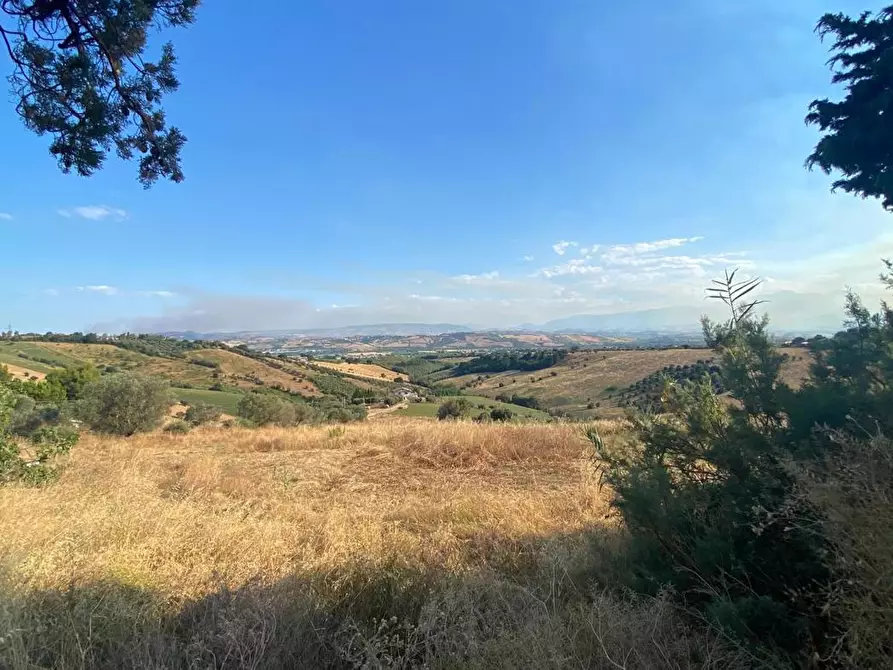 Immagine 10 di Terreno agricolo in vendita  in LocalitÃ  Centovie, 0 a Roseto Degli Abruzzi
