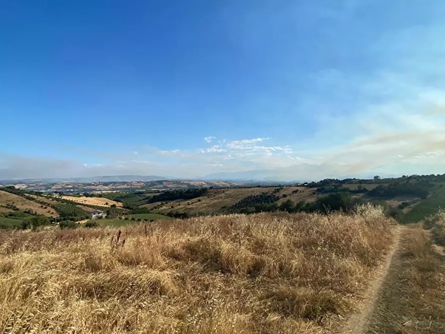 Immagine 4 di Terreno agricolo in vendita  in LocalitÃ  Centovie, 0 a Roseto Degli Abruzzi