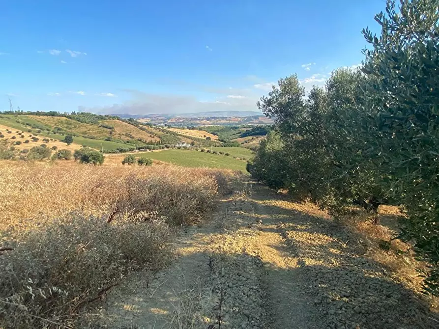 Immagine 7 di Terreno agricolo in vendita  in LocalitÃ  Centovie, 0 a Roseto Degli Abruzzi