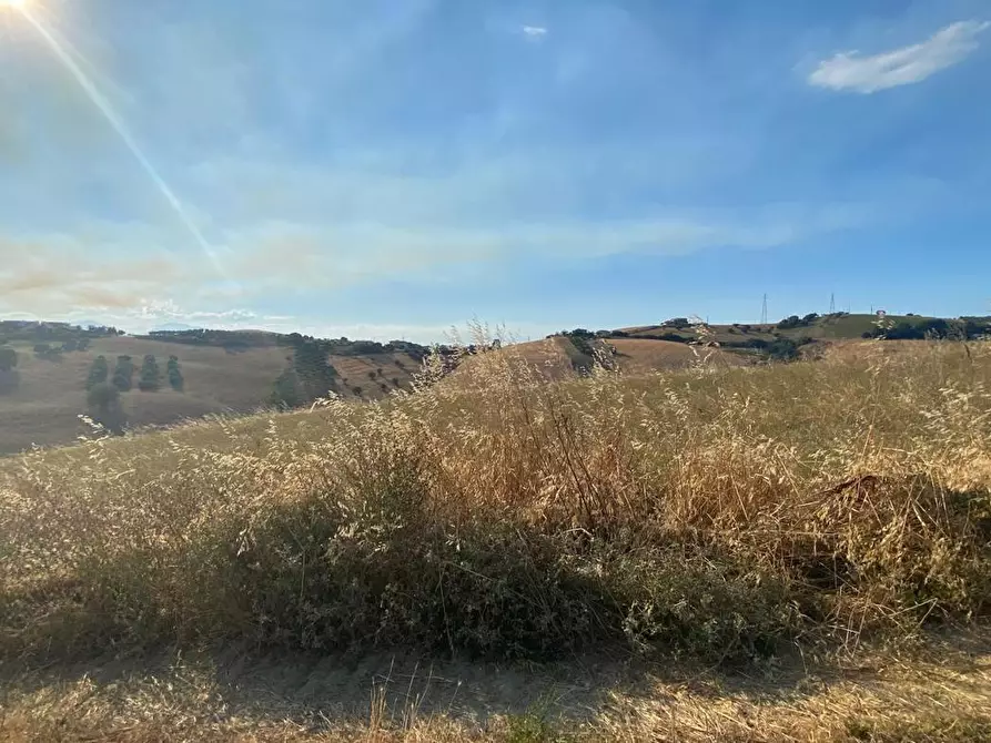 Immagine 8 di Terreno agricolo in vendita  in LocalitÃ  Centovie, 0 a Roseto Degli Abruzzi