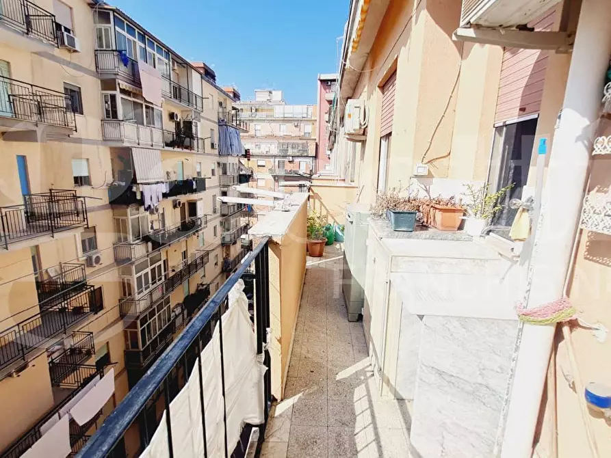 Immagine 14 di Appartamento in vendita  in Via Francesco Bruno a Palermo