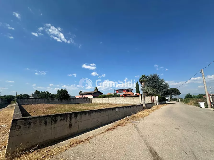 Immagine 13 di Terreno agricolo in affitto  in Via Fatigati, 117 a Acerra